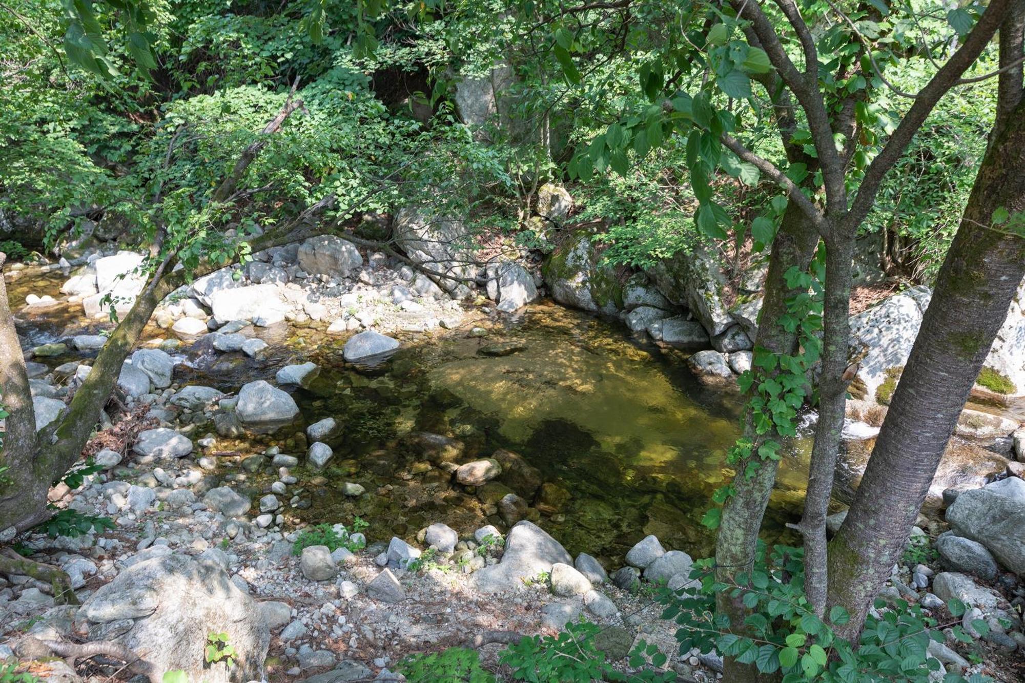 Gangneung Yasaenghwa Maeul Hotel Luaran gambar