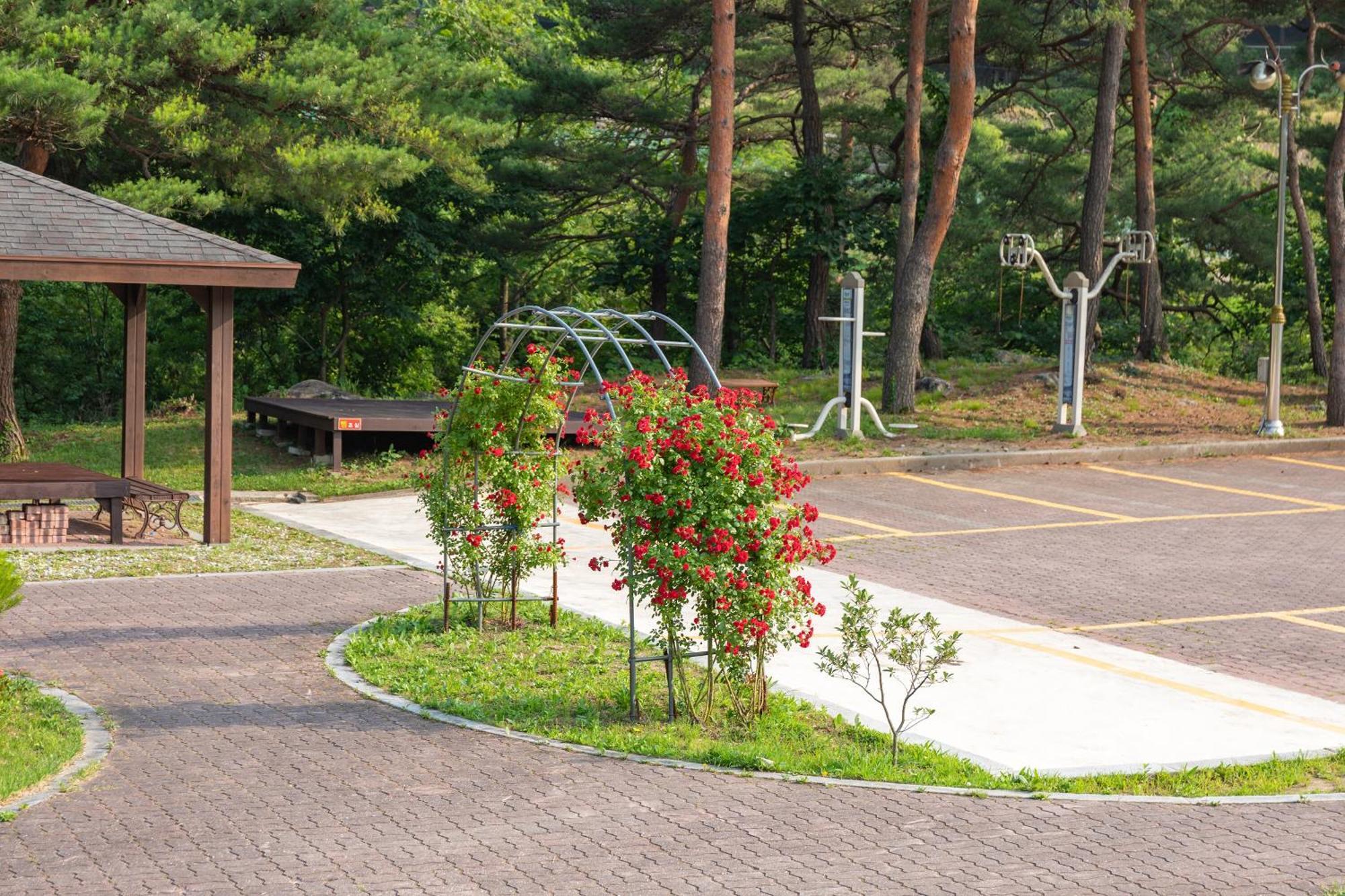 Gangneung Yasaenghwa Maeul Hotel Luaran gambar